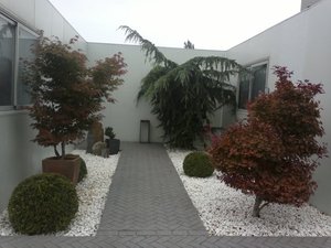Diseño Jardín Japonés