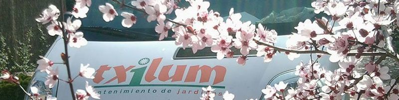 Imagen de seccin