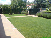 Servicios